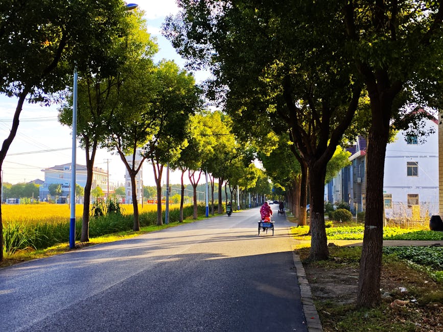 Featured image for A balatoni kerékpárút és látnivalói