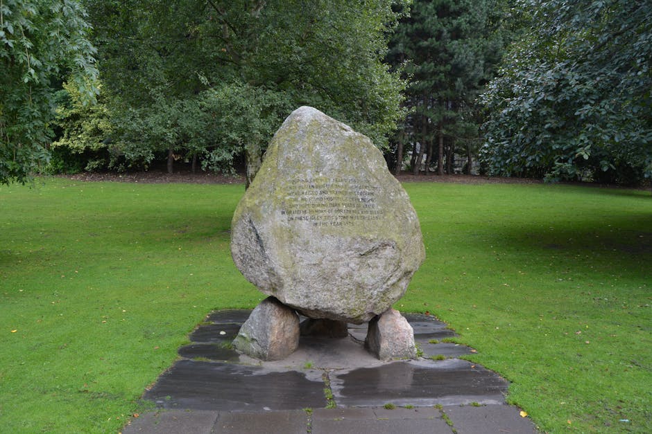 Featured image for A gyepszellőztetés fontossága és menete