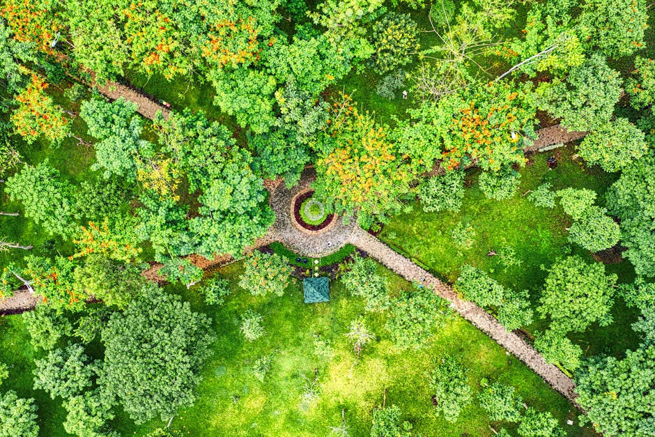 Featured image for A veteményeskert megtervezése: Mit mi mellé ültessünk?