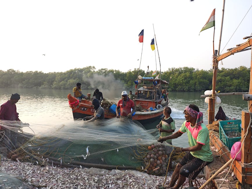 Featured image for Az esővízgyűjtés előnyei