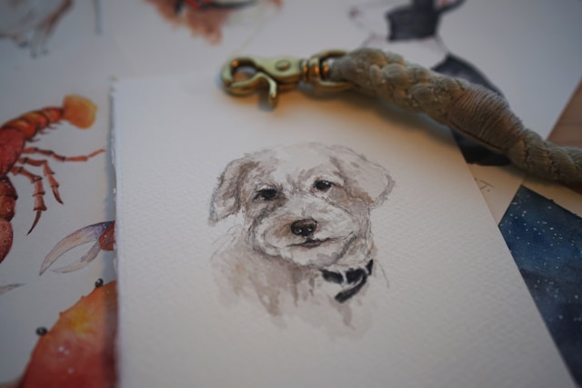 hogyan kell kutyat rajzolni