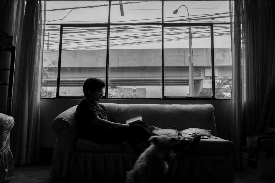 Featured image for Hogyan építsünk kutyaházat?