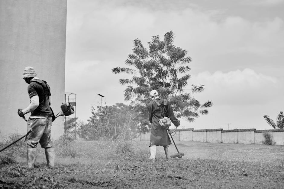 Featured image for Hogyan kell a fűnyírót helyesen használni?