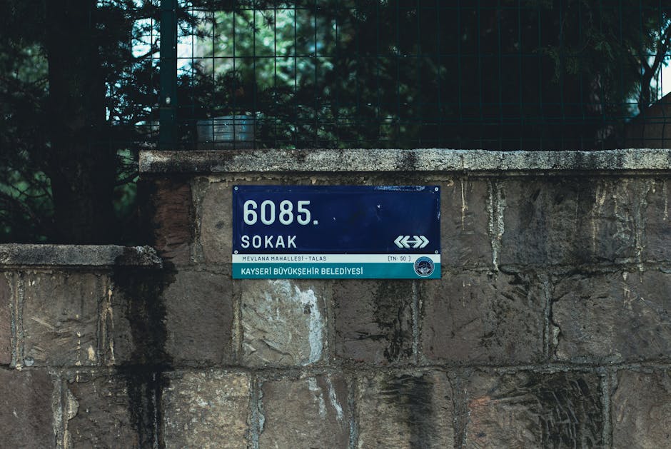 Featured image for Mire jó a mulcsozás?